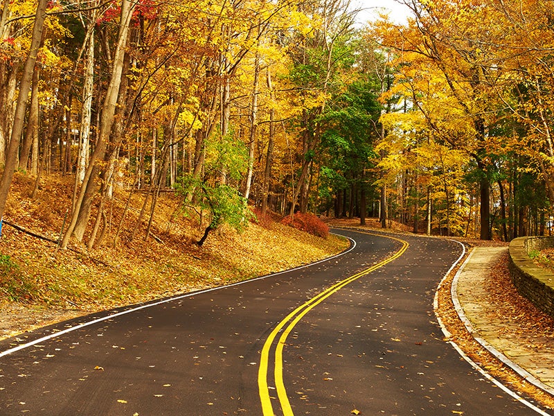 Korum Ford in Puyallup WA road in autumn